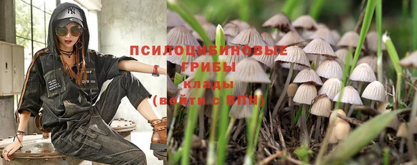 экстази Богородицк