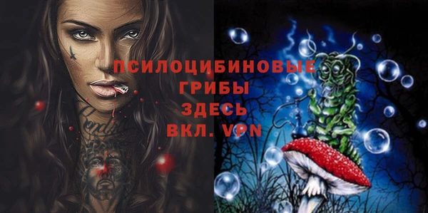 экстази Богородицк