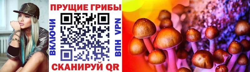 Псилоцибиновые грибы MAGIC MUSHROOMS  Грозный 